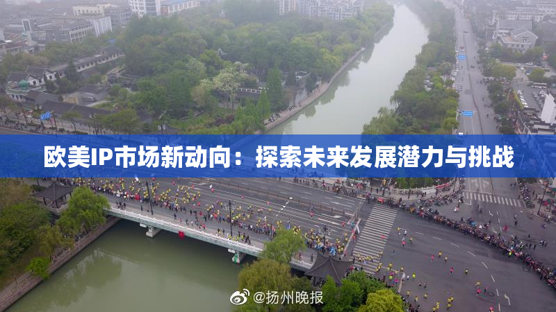 欧美IP市场新动向：探索未来发展潜力与挑战