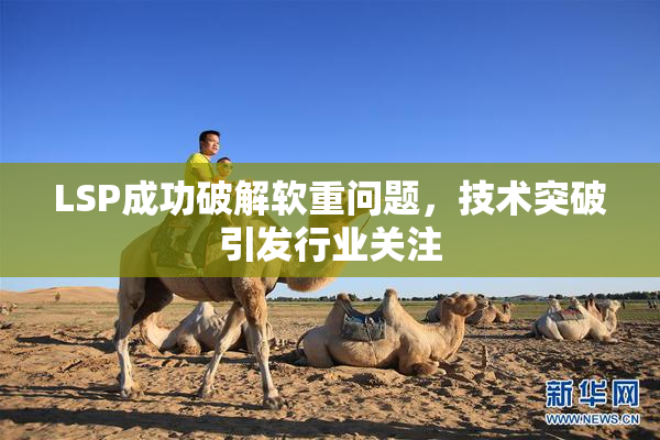 LSP成功破解软重问题，技术突破引发行业关注