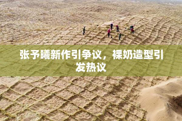 张予曦新作引争议，裸奶造型引发热议