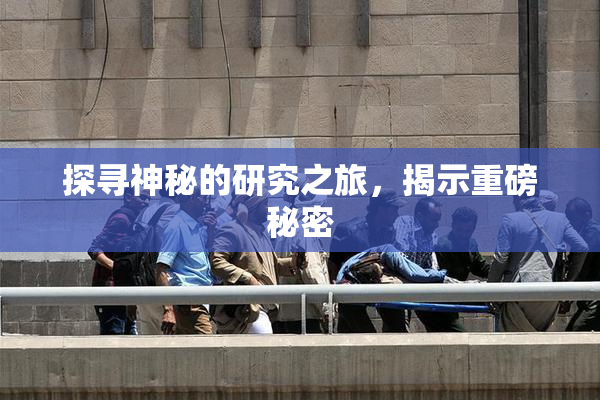 探寻神秘的研究之旅，揭示重磅秘密