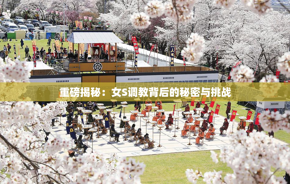 重磅揭秘：女S调教背后的秘密与挑战