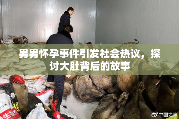 男男怀孕事件引发社会热议，探讨大肚背后的故事
