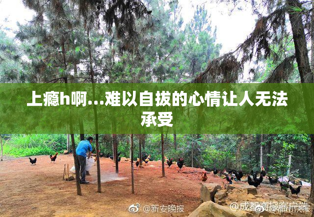 上瘾h啊…难以自拔的心情让人无法承受