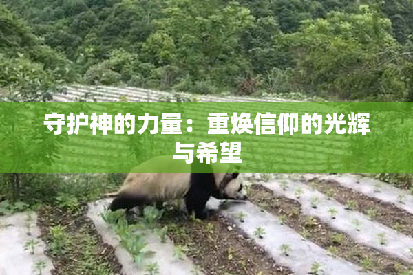 守护神的力量：重焕信仰的光辉与希望