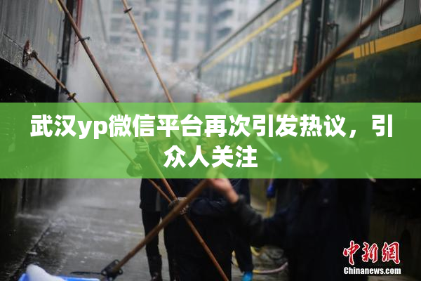武汉yp微信平台再次引发热议，引众人关注