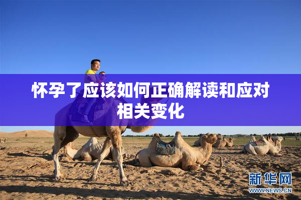 怀孕了应该如何正确解读和应对相关变化
