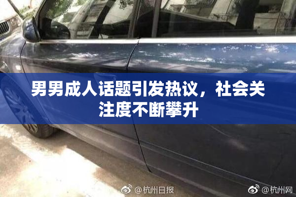 男男成人话题引发热议，社会关注度不断攀升