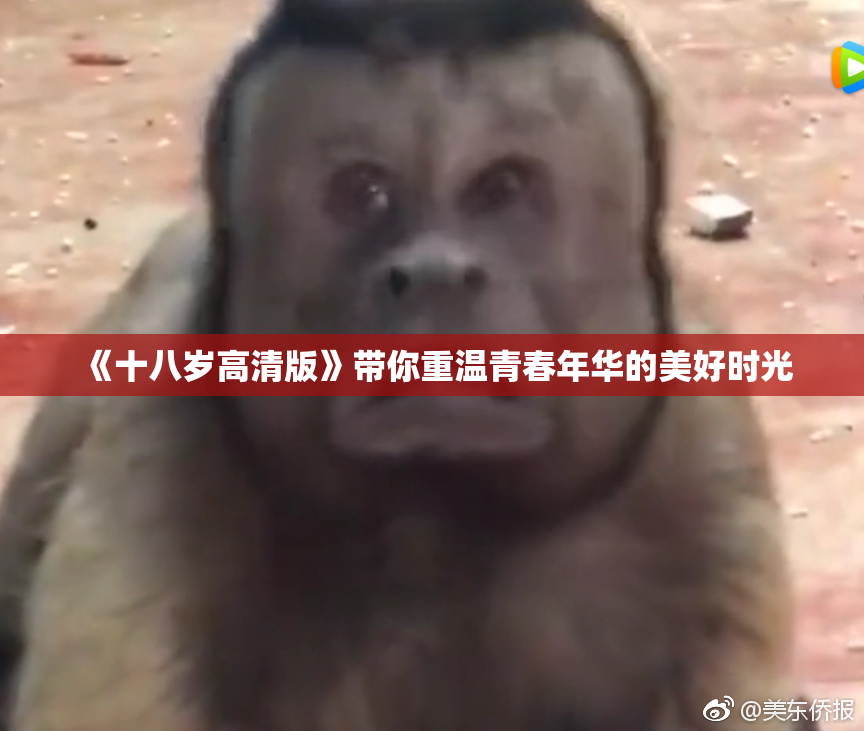 《十八岁高清版》带你重温青春年华的美好时光