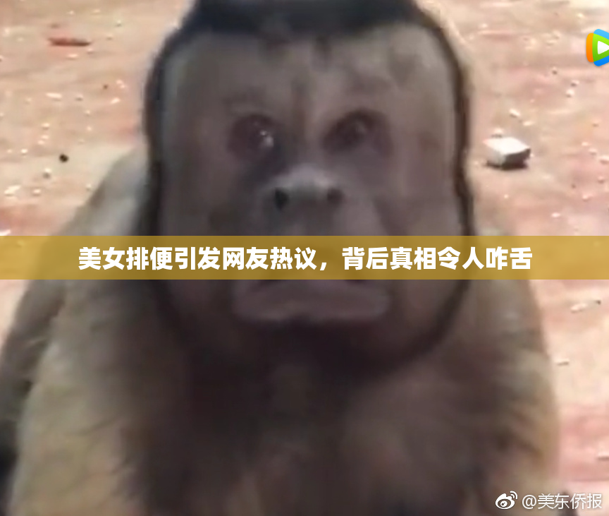 美女排便引发网友热议，背后真相令人咋舌
