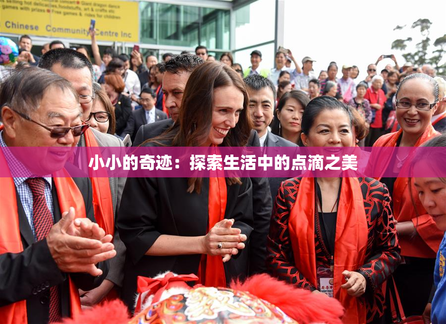 小小的奇迹：探索生活中的点滴之美