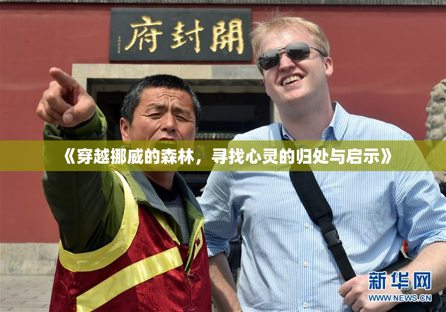 《穿越挪威的森林，寻找心灵的归处与启示》