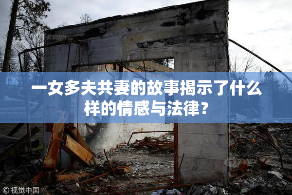 一女多夫共妻的故事揭示了什么样的情感与法律？