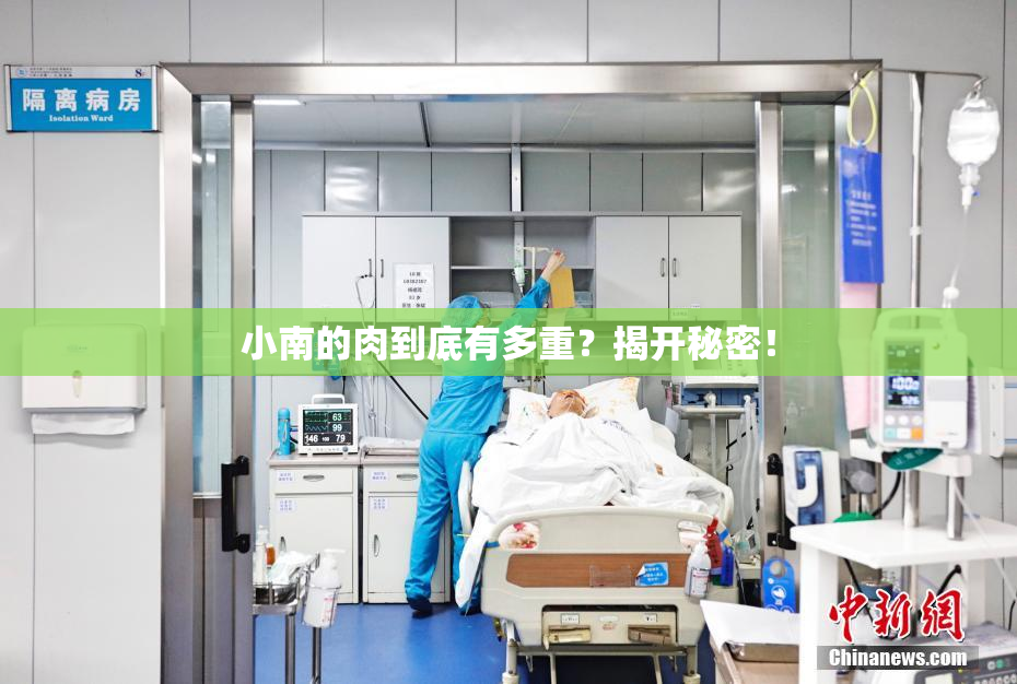 小南的肉到底有多重？揭开秘密！