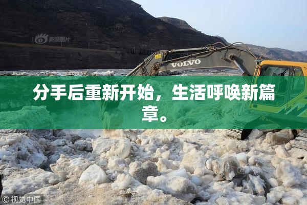 分手后重新开始，生活呼唤新篇章。