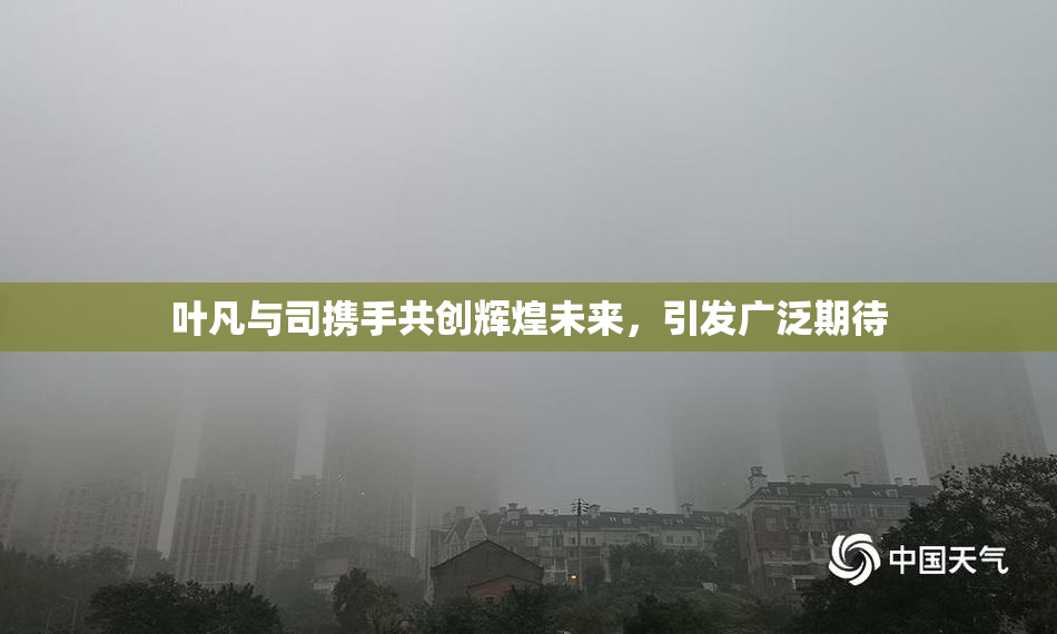 叶凡与司携手共创辉煌未来，引发广泛期待