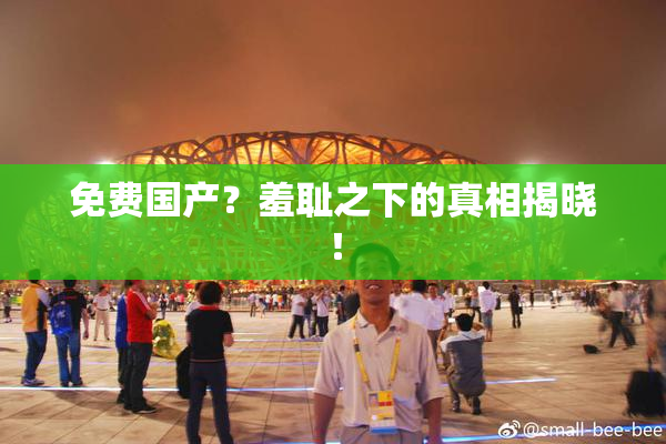免费国产？羞耻之下的真相揭晓！