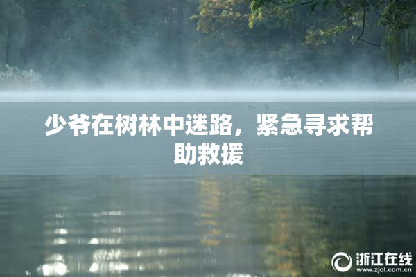 少爷在树林中迷路，紧急寻求帮助救援