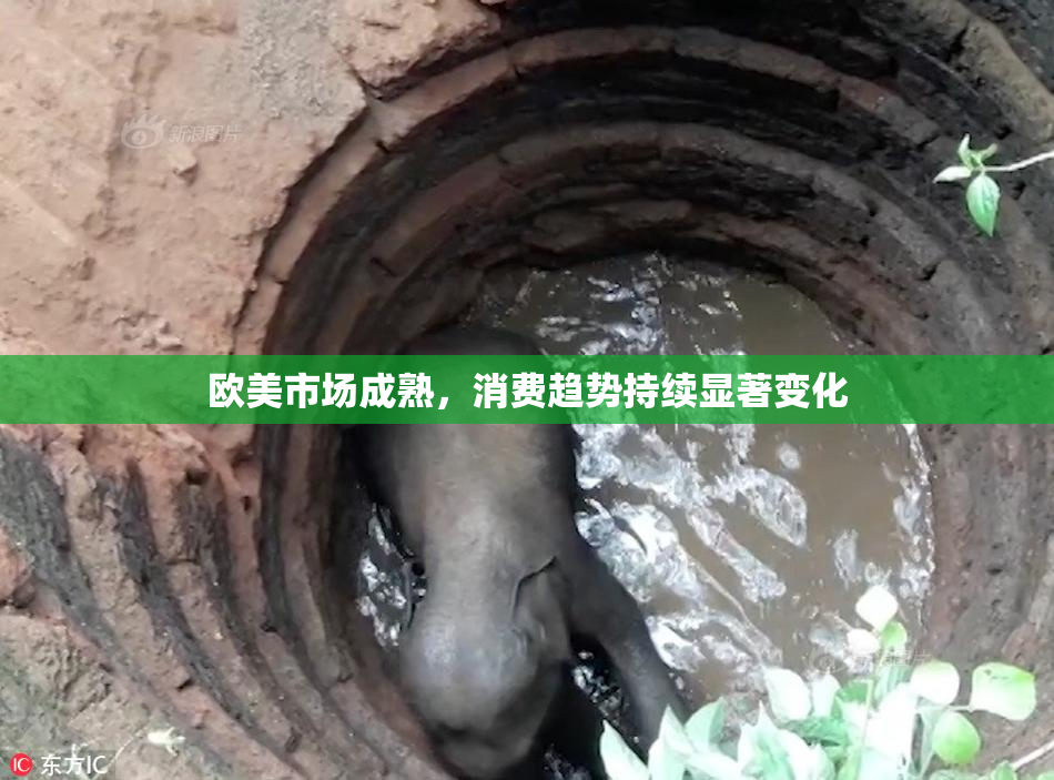 欧美市场成熟，消费趋势持续显著变化