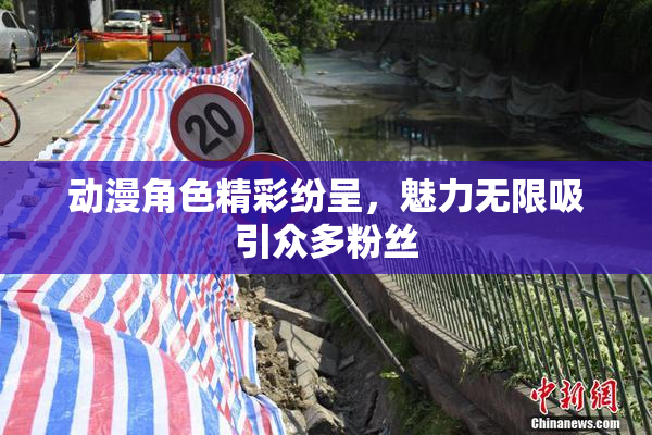 动漫角色精彩纷呈，魅力无限吸引众多粉丝