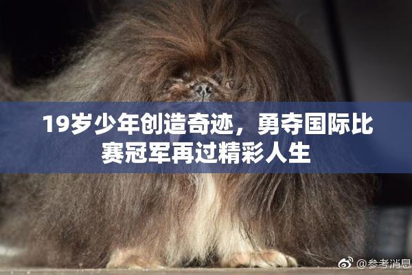 19岁少年创造奇迹，勇夺国际比赛冠军再过精彩人生