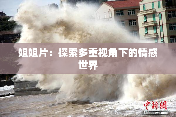 姐姐片：探索多重视角下的情感世界