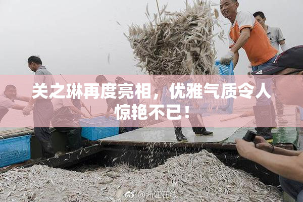 关之琳再度亮相，优雅气质令人惊艳不已！