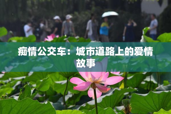 痴情公交车：城市道路上的爱情故事