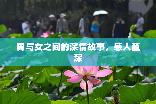 男与女之间的深情故事，感人至深
