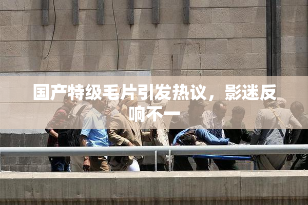 国产特级毛片引发热议，影迷反响不一