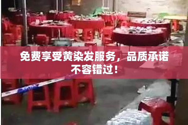 免费享受黄染发服务，品质承诺不容错过！