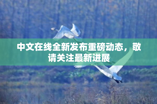 中文在线全新发布重磅动态，敬请关注最新进展