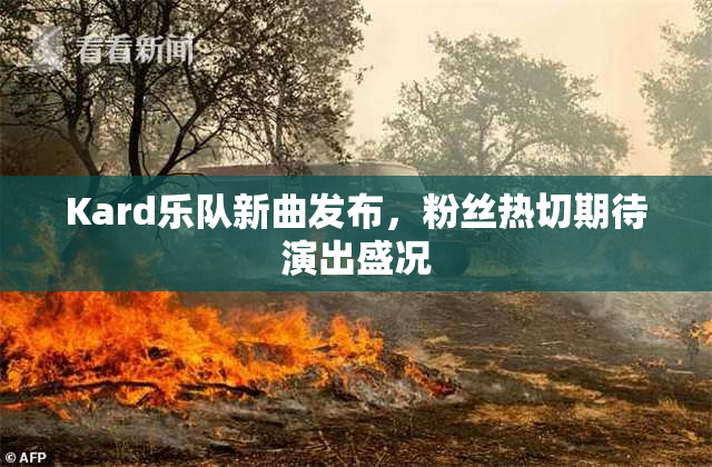 Kard乐队新曲发布，粉丝热切期待演出盛况