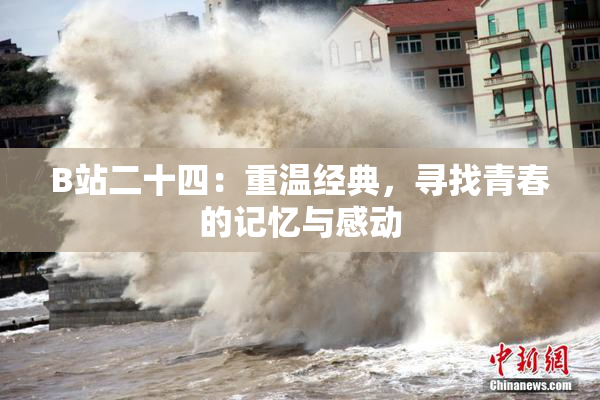 B站二十四：重温经典，寻找青春的记忆与感动