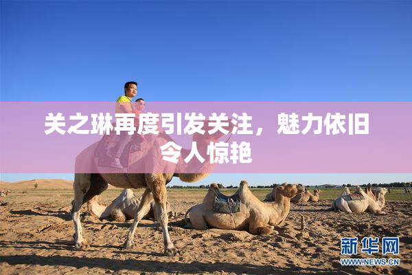 关之琳再度引发关注，魅力依旧令人惊艳