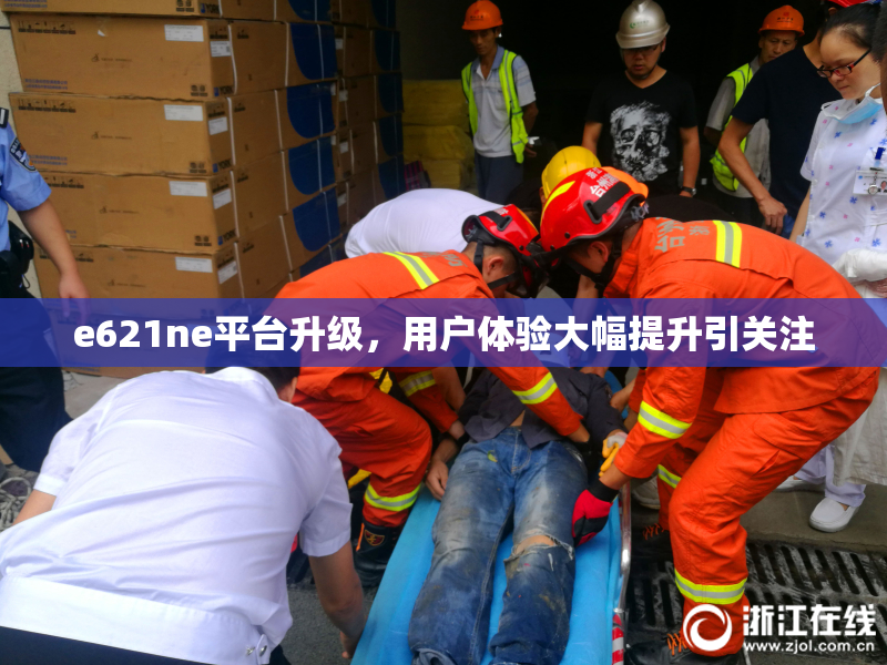 e621ne平台升级，用户体验大幅提升引关注