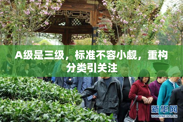 A级是三级，标准不容小觑，重构分类引关注