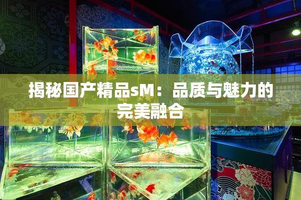 揭秘国产精品sM：品质与魅力的完美融合