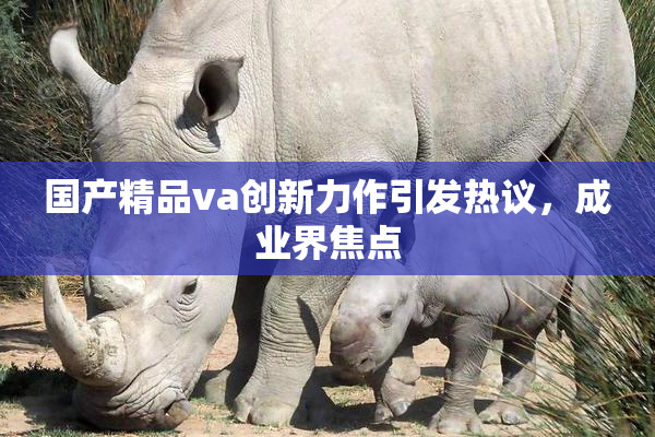 国产精品va创新力作引发热议，成业界焦点