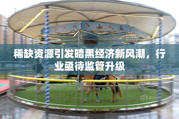 稀缺资源引发暗黑经济新风潮，行业亟待监管升级