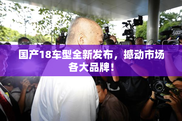 国产18车型全新发布，撼动市场各大品牌！