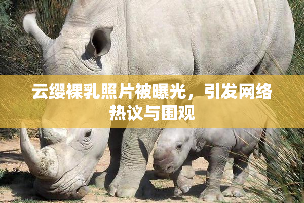 云缨裸乳照片被曝光，引发网络热议与围观