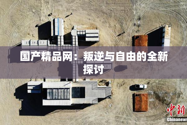 国产精品网：叛逆与自由的全新探讨