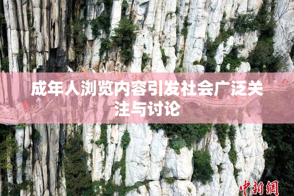 成年人浏览内容引发社会广泛关注与讨论