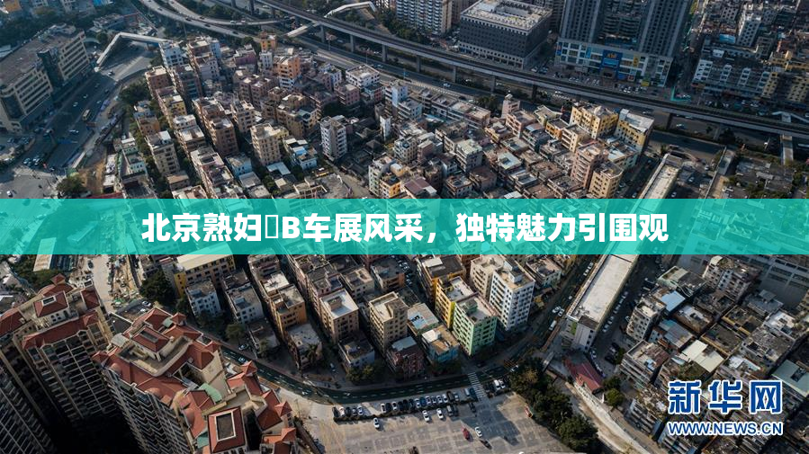 北京熟妇槡B车展风采，独特魅力引围观
