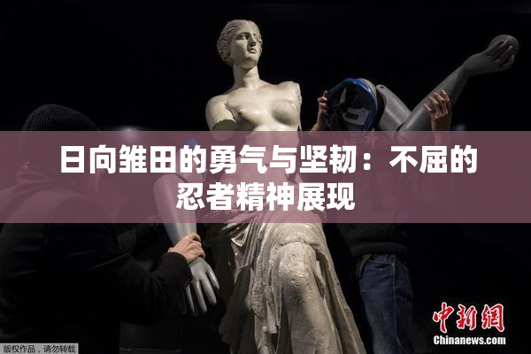 日向雏田的勇气与坚韧：不屈的忍者精神展现