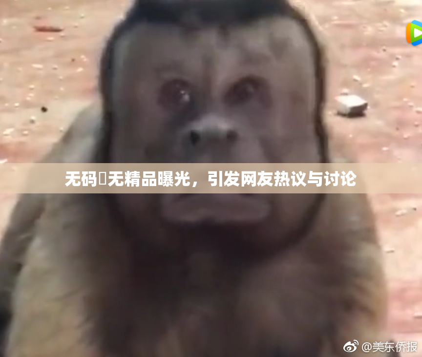 无码囯无精品曝光，引发网友热议与讨论