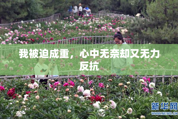 我被迫成重，心中无奈却又无力反抗