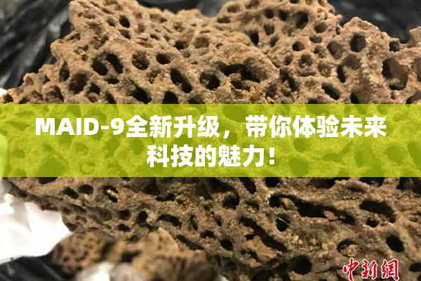 MAID-9全新升级，带你体验未来科技的魅力！