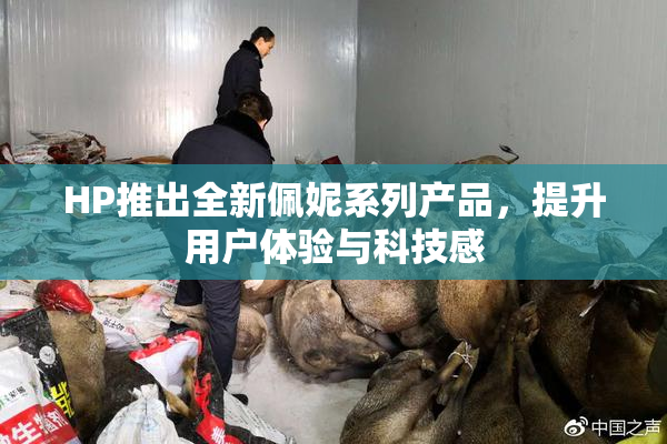 HP推出全新佩妮系列产品，提升用户体验与科技感