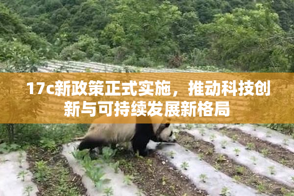 17c新政策正式实施，推动科技创新与可持续发展新格局